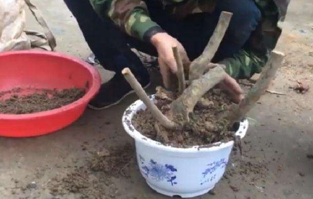 建筑工程 第103页