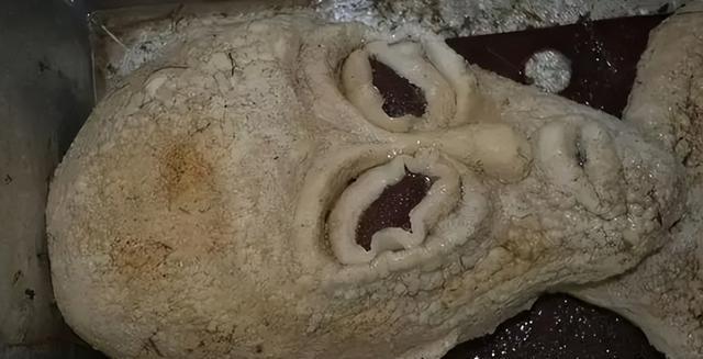 李凯事件最新进展更新