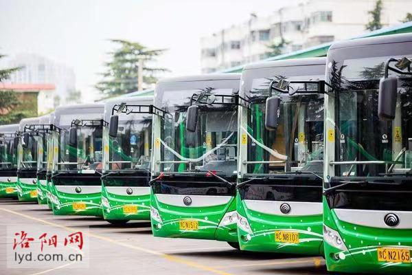 合川528最新公交路线详解与指南