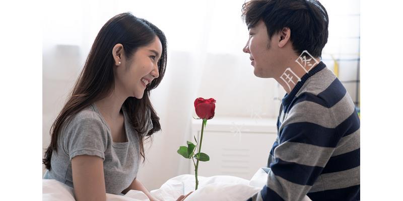 谁动了老婆免费最新内容，深度解析与推荐